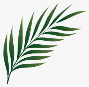 Palm Sunday Icon Png