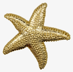 Starfish Pin, Gold Shine - Starfish