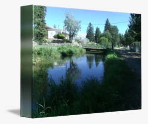 "malin Park Dirt Path And Irrigation Canal " By Sherrie - Reflection