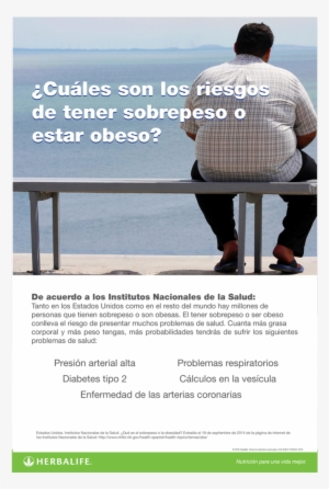 Los Riesgos Del Sobrepeso Poster - Fat People In Dubai