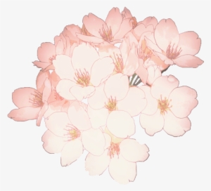 Flowers, Overlay, And Transparent Image - Sakura Flower Png Kawaii