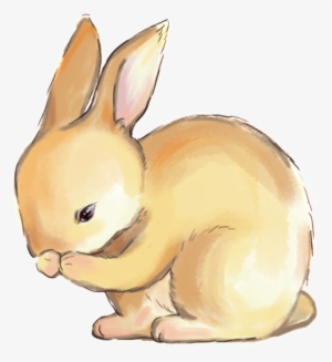 Hand Drawn Rabbit Png - Rabbit