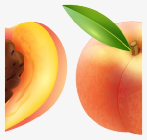 Peach Clipart Large Peach Clipart Image 41704 Free - Clip Art