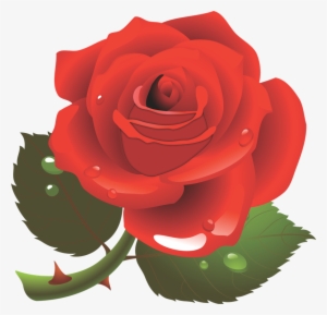 Gifs Im193genes De Rosas - Personne Spéciale