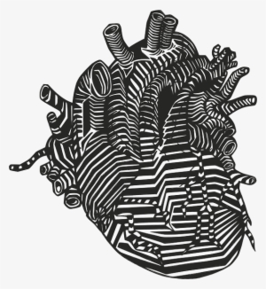 Heart, Veins, Arteries, Anatomy, Blood Flow - Anatomical Heart Png
