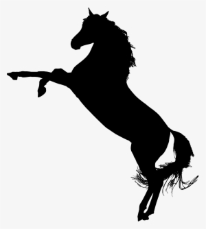 Arabian Horse Silhouette - Horse On Hind Legs Silhouette