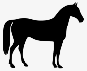 Transportation Horse, Gymnastic Horse, Animal, Riding, - Horse Vector