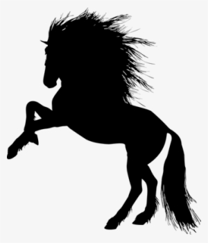 Poster Animals Animal Equine Rearing Horse Silhouette - Stallion Silhouette