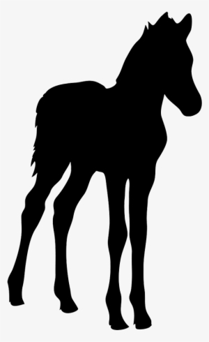 Horse Silhouette - Foal Silhouette