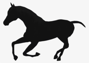 Free Free Baby Horse Svg 312 SVG PNG EPS DXF File