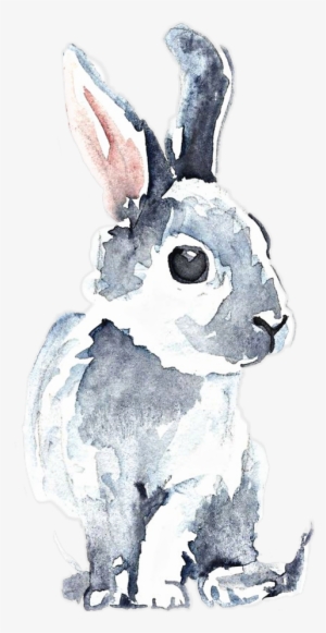Bunny Aquarelle