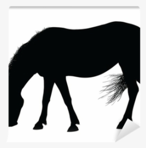 Horse Eating Grass Silhouette
