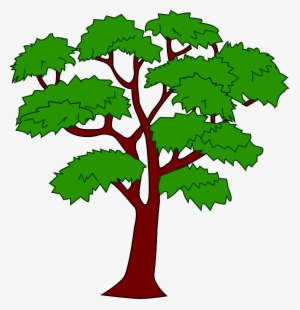 Clipart - Mahogany Tree - Mahogany Tree Of Belize