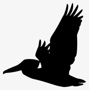 Flying Pelican Silhouette