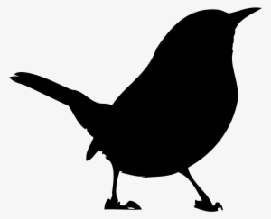 Carolina Wren Overview, All About Birds, Cornell Lab - Carolina Wren Silhouette