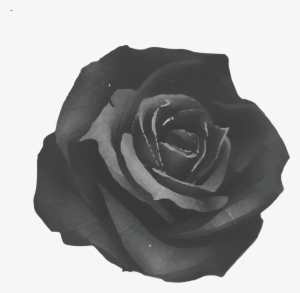 Rose Jkk - Fabric Rose Art Print - Mini By Ruben Ireland