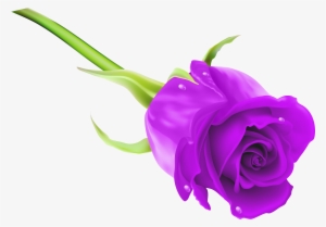 Purple Rose Clipart Puple - Purple Rose Clipart