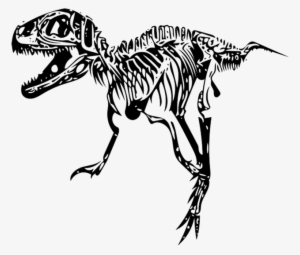 Skeleton Svg T Rex - T Rex Skeleton Png