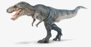 Tyrannosaurus T Rex