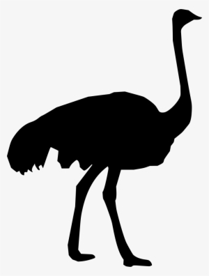 Download Png - Ostrich Silhouette