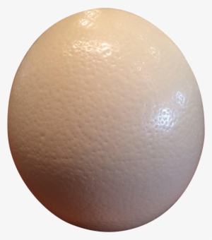 Ostrich Eggs Png Image Black And White Stock - Biohazard Icon