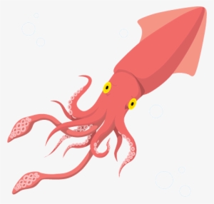 Download Amazing High-quality Latest Png Images Transparent - Squid Clipart Png