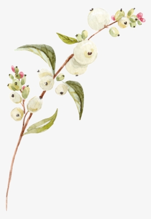 White Flower Png Transparent - Portable Network Graphics