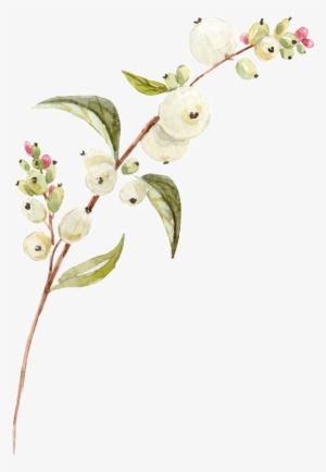 White Flower Png Transparent - Portable Network Graphics
