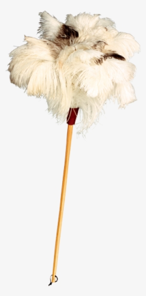Ostrich Feather Duster - Redecker Special White Ostrich Feather Duster