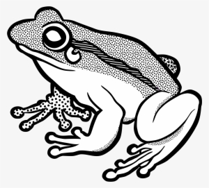 Frog Line Art Amphibian Drawing Computer Icons - Frog Line Art
