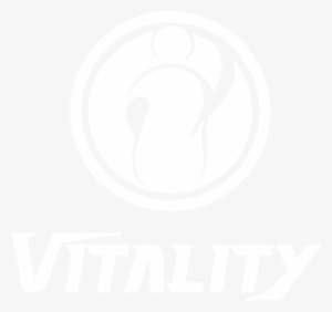 Invictus Gaming Vitality - Invictus Gaming