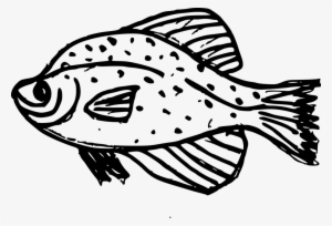 Vector Royalty Free Fish Png Transparent Onlygfx Com - Drawing