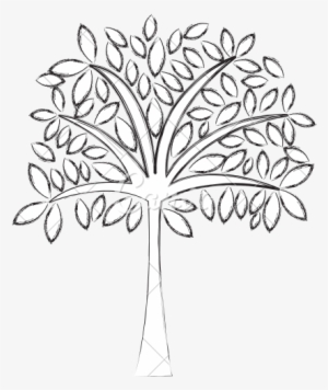 neem tree drawing for kids