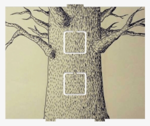 Tree Sketch - 2 On/off - Adansonia