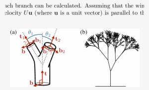 Numerical Tree Model - Tree