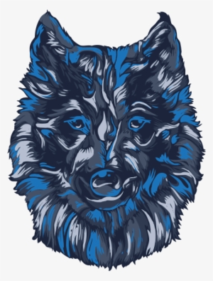 Coyote - Wolfdog