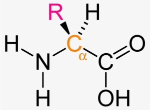 Alpha Amino Ac - N -( Phosphonomethyl Iminodiacetic Acid