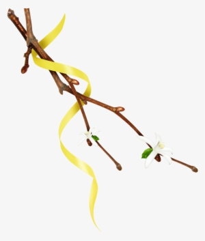 Mq Twig Twigs Leafs Leaf Leaves Nature Yellow - Twig