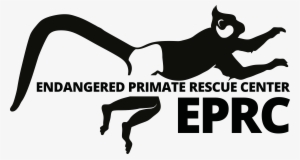 We Are Looking For A General Coordinator - Endangered Primate Rescue Center