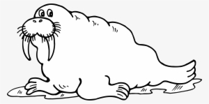 Walrus Png