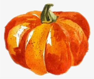 Cute Pumpkin Watercolor