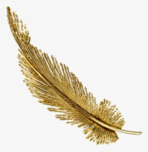 Gold Feather, Sunshine3 - Gold Feather