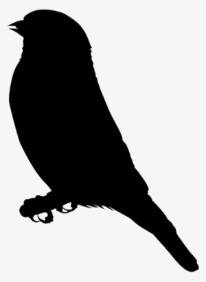 Gold Finch Png Clip Arts
