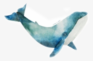 Report Abuse - Watercolour Whale