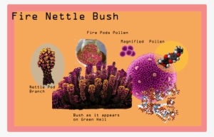 Fire Nettle Bush - Poster