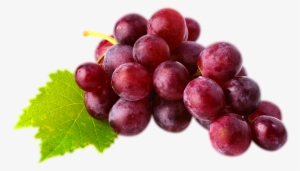 Red Grapes Png - Vine Of Red Grapes