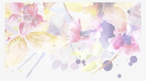 Profile Cover Photo