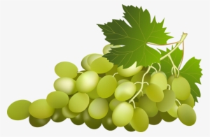 Grape Free Png Image