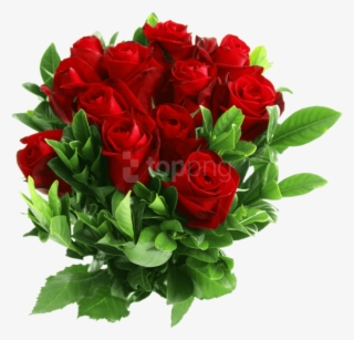 Red Rose Png Clipart - Flowers Red Rose Png