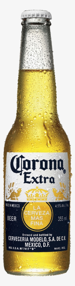 Corona Extra Beer Bottles 355ml - Corona Bottle